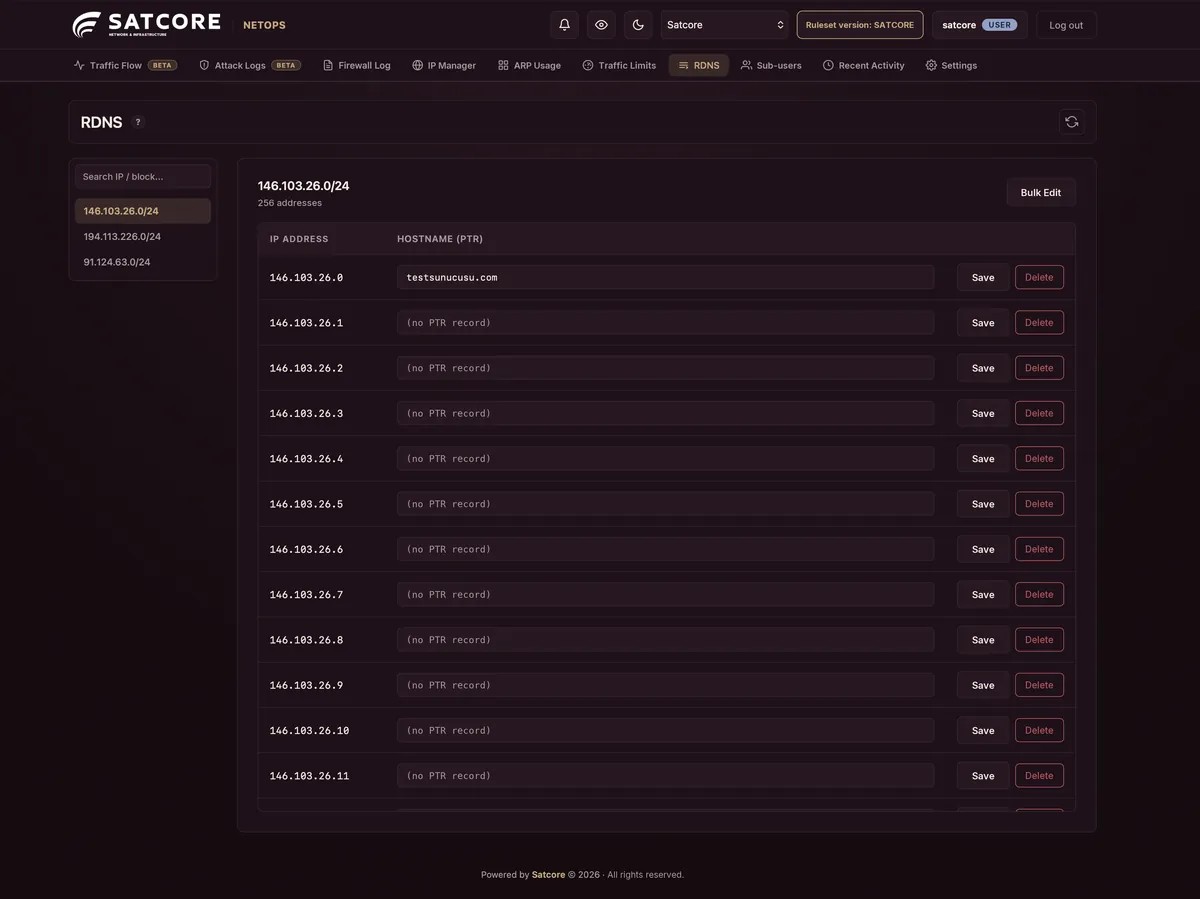 RDNS PTR record management view
