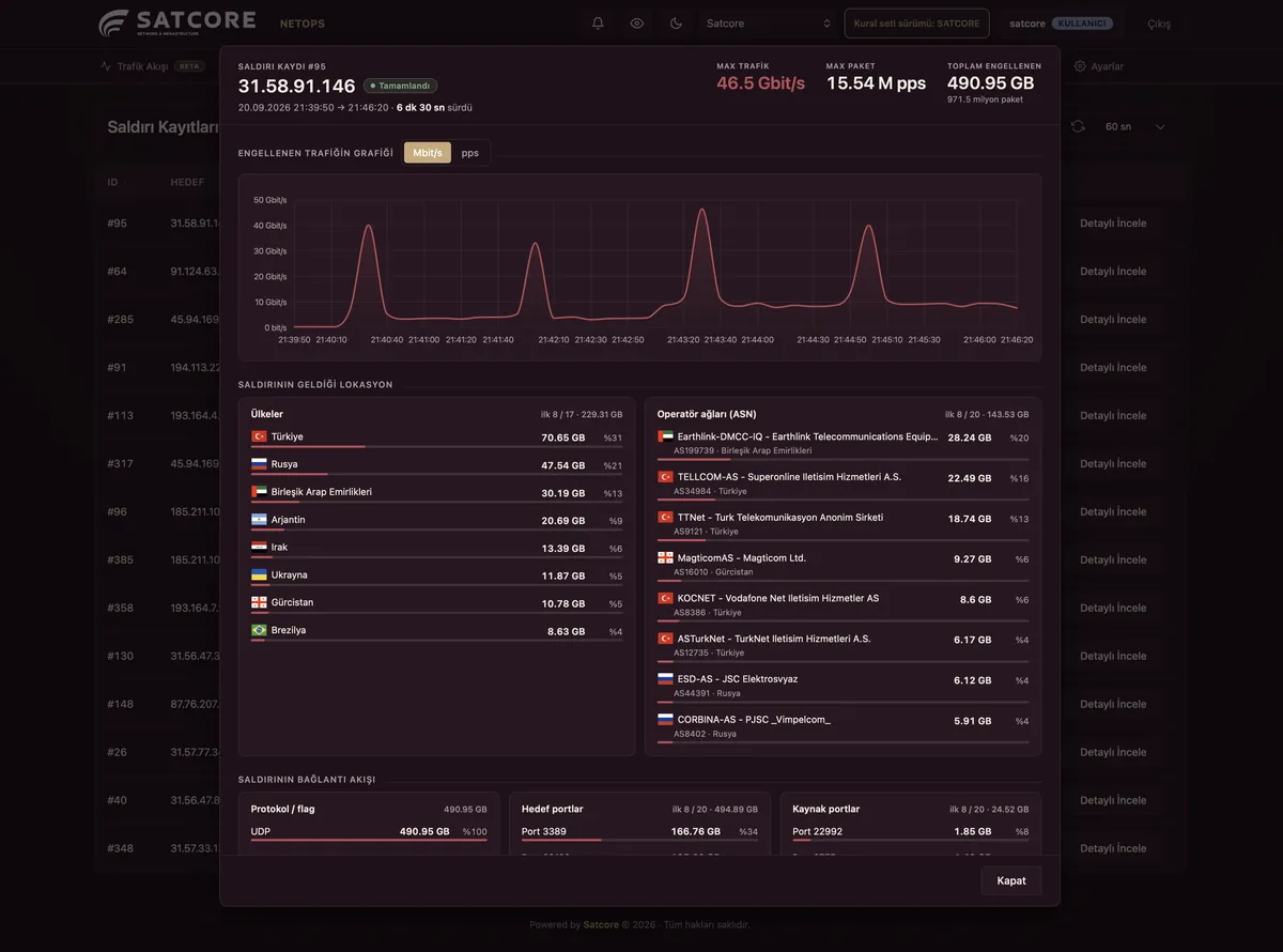 Attack detail view with traffic chart, countries and carrier networks